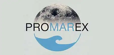 Logotipo Promarex